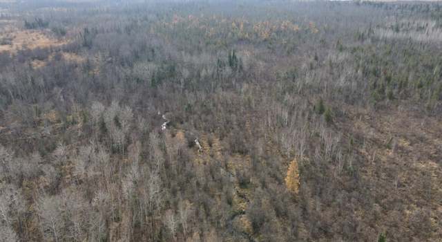 Photo of 6932 E Houghton Lake Rd, Merritt, MI 49667