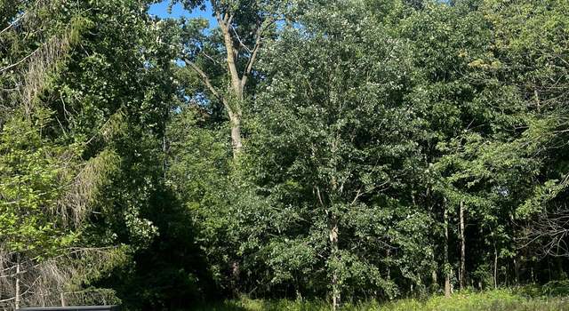 Photo of 6854 Morrison Hills Ct, Dexter, MI 48130
