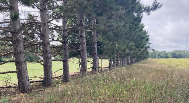 Photo of V/L 88th Ave, Pentwater, MI 49449