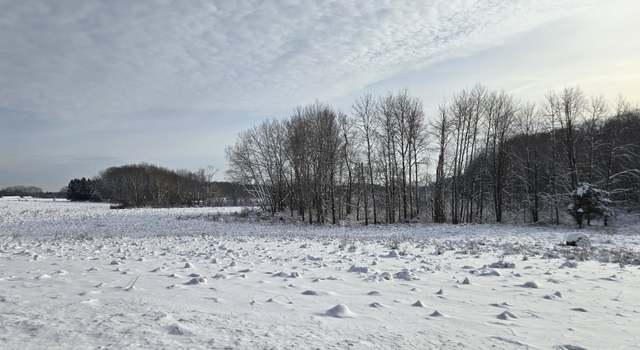 Photo of V/L 100th Ave, Rothbury, MI 49452