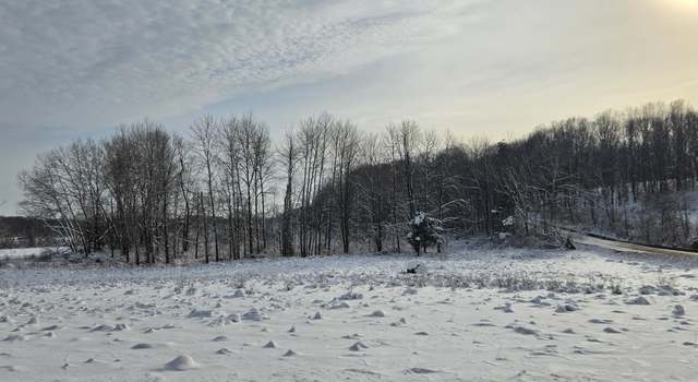 Photo of V/L Arthur Rd, Rothbury, MI 49452