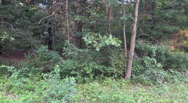 Photo of 5472 Margaret Ave, Newaygo, MI 49337