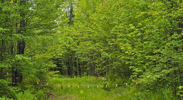 Photo of 23990 Bass Lake Rd. Rd, Watersmeet, MI 49969