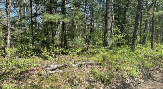 Photo of 00 W Bishop, Idlewild, MI 49642