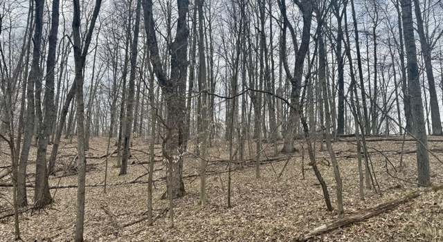Photo of 9779 Buffalo Ct, Canadian Lakes, MI 49346
