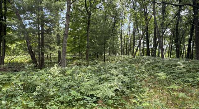 Photo of Undisclosed Address, Chase, MI 49623