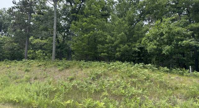 Photo of Undisclosed Address, Chase, MI 49623
