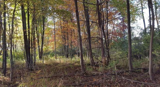 Photo of 788 Greystone Dr, Chelsea, MI 48118