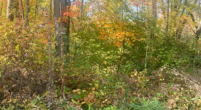 Photo of 9035 N 23 Ave, Bitely, MI 49309