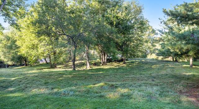 Photo of 0 Tims Lake Blvd Lots 69 & 70, Grass Lake, MI 49240