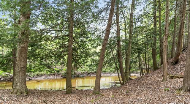 Photo of 0 W Tyler Rd, Hart, MI 49420