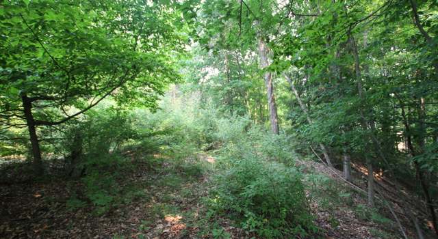 Photo of Garfield Rd, Hesperia, MI 49421
