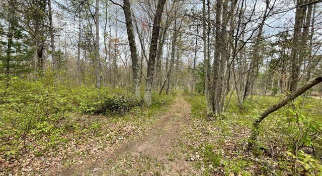 Photo of V/L Caberfae Hwy, Wellston, MI 49689