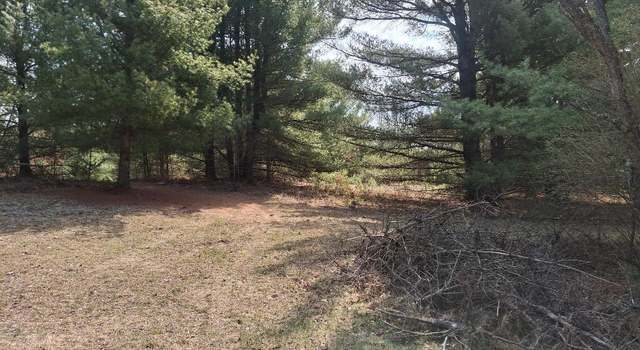 Photo of 23-24 Ridge Rd, Evart, MI 49631