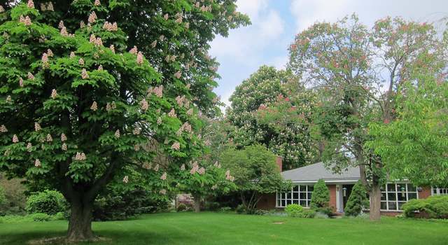 Photo of 30585 Vernon Dr, Beverly Hills, MI 48025