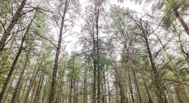 Photo of V/L Dow Rd, West Branch, MI 48661
