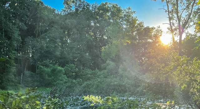 Photo of Coon Hollow Rd, Three Rivers, MI 49093