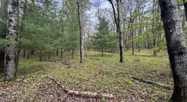 Photo of 7215 E Niemitalo Dr, Chase, MI 49623