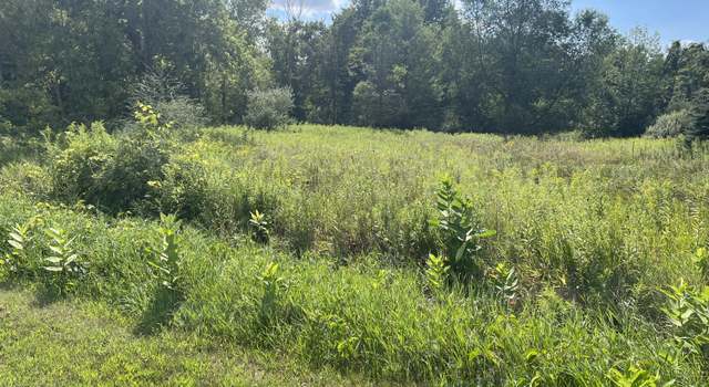 Photo of V/L 3rd St, Edmore, MI 48829