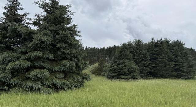 Photo of V/L Eight Mile Rd, Kaleva, MI 49645