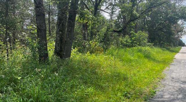 Photo of 6864 S Nelson Rd, Idlewild, MI 49642