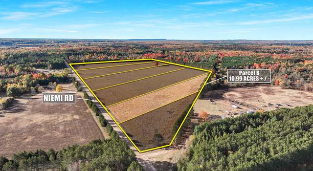 Photo of 0 V/l 10.99 Acres Niemi Rd Unit PARCEL B, Kaleva, MI 49645