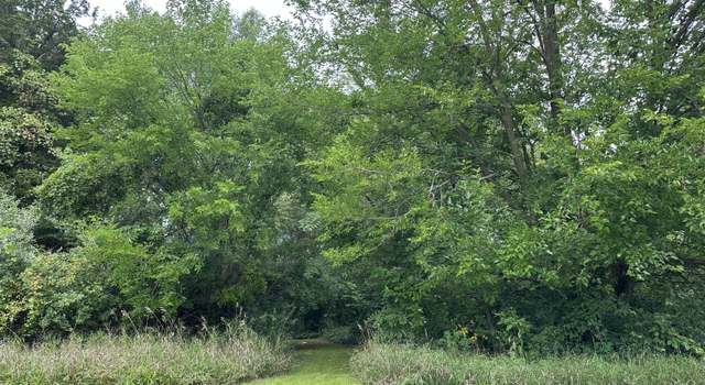 Photo of Lot 67 Bellflower Dr, Vineyard Lake, MI 49230