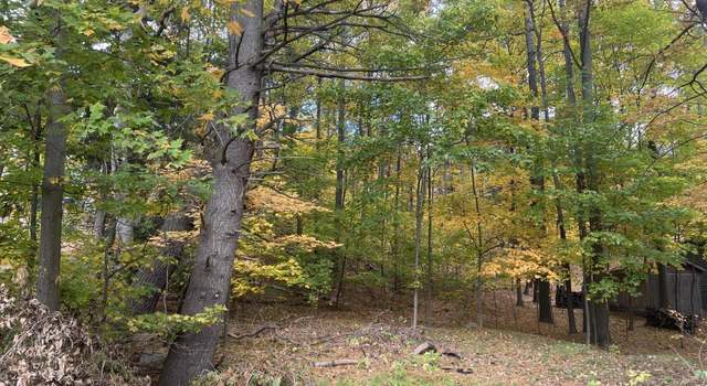 Photo of V/L W Beverly, Shelby, MI 49455