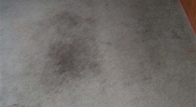 Photo of M-62, Ontwa Twp, MI 49112