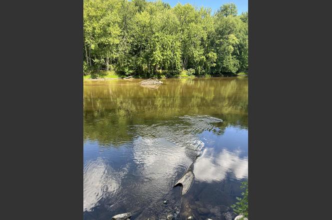 8 Trout Dr, Evart, MI 49631  MLS# 22036404  Redfin
