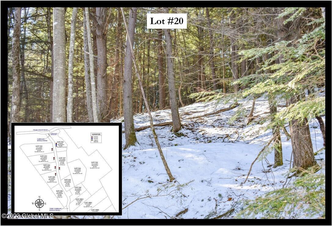 20 Carriage Rd, Chestertown, NY 12817