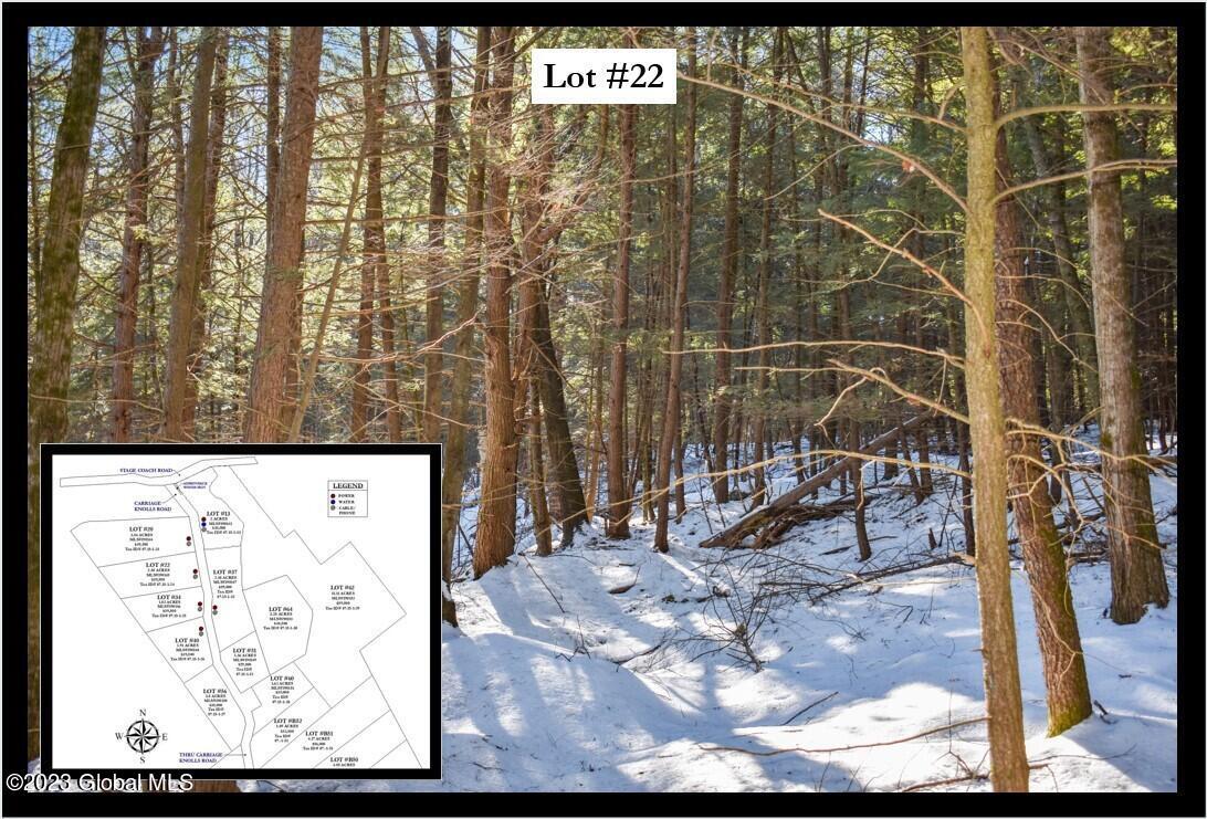 22 Carriage Rd, Chestertown, NY 12817