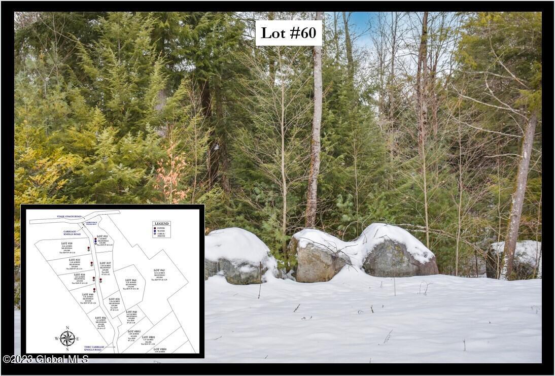 60 Carriage Rd, Chestertown, NY 12817