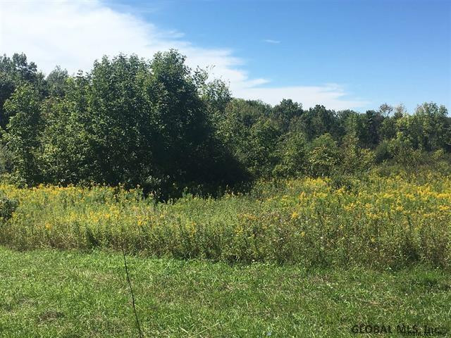 1 Horning Rd Unit 65.-3-1, Palatine, NY 13428