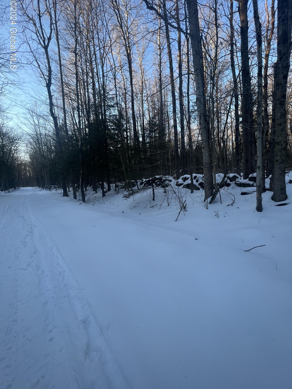 L11 Fical Rd, Ephratah, NY 12095 MLS 202414498 Redfin
