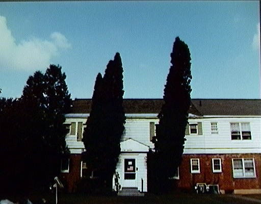 117 Jackson Ave