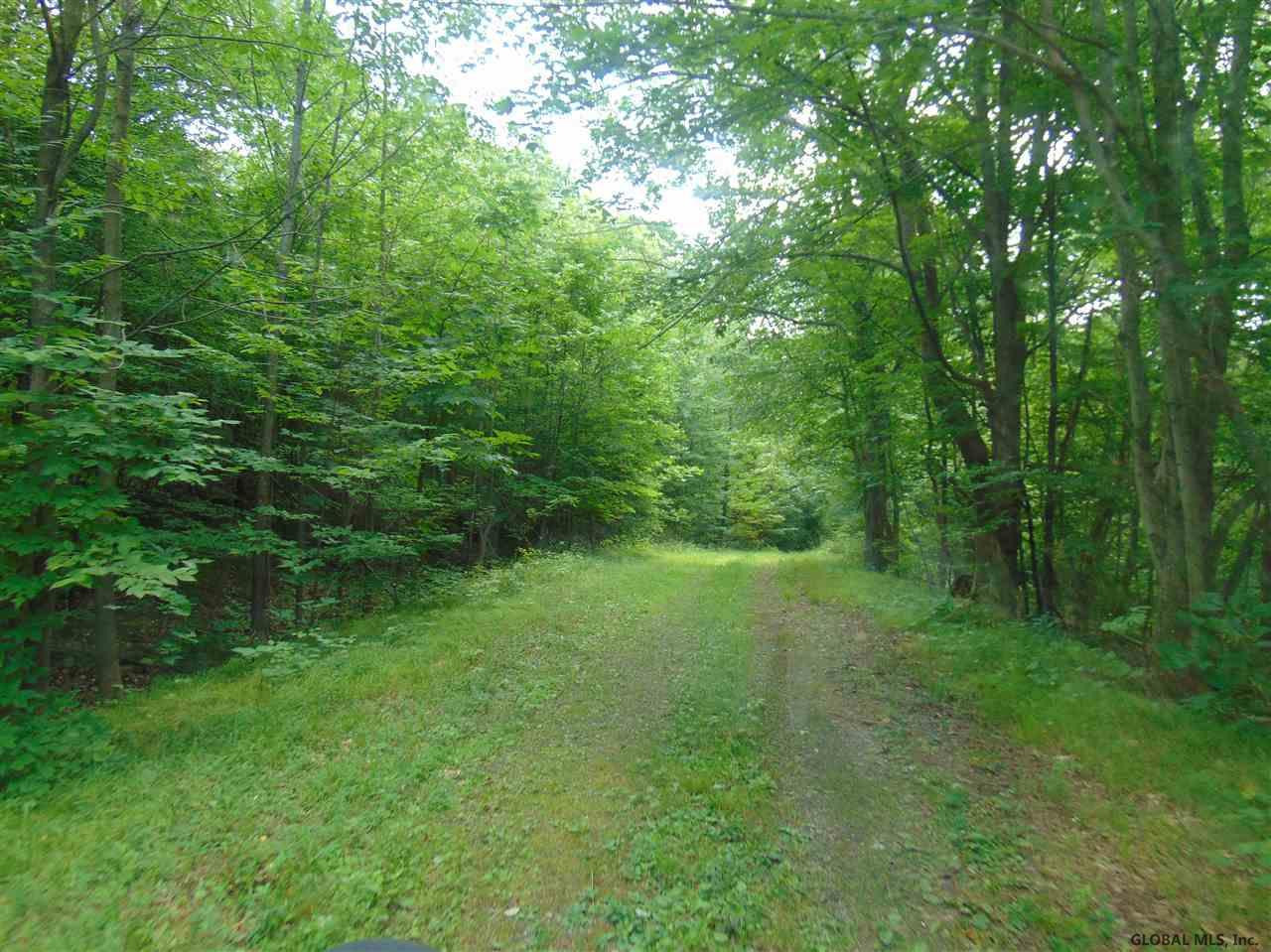 0 Mace Rd, Gilboa, NY 12076