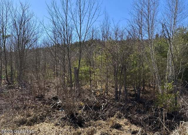 Property at L37.100 Moss Rd, Lewis, NY 12950