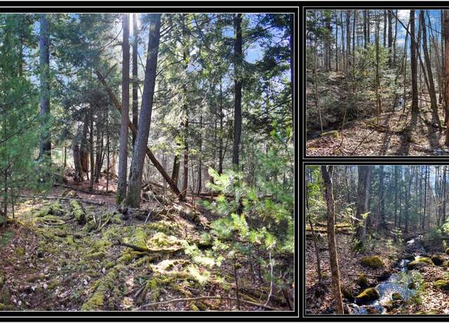 Property at L9 New Hague Rd, Hague, NY 12836