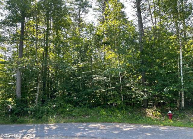 Property at L1 Montreaux St, Lake Luzerne, NY 12846