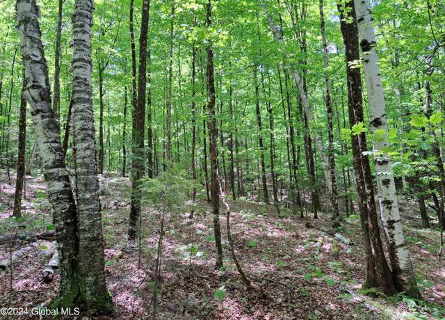 Property at L1.1 Route 28, North Creek, NY 12853