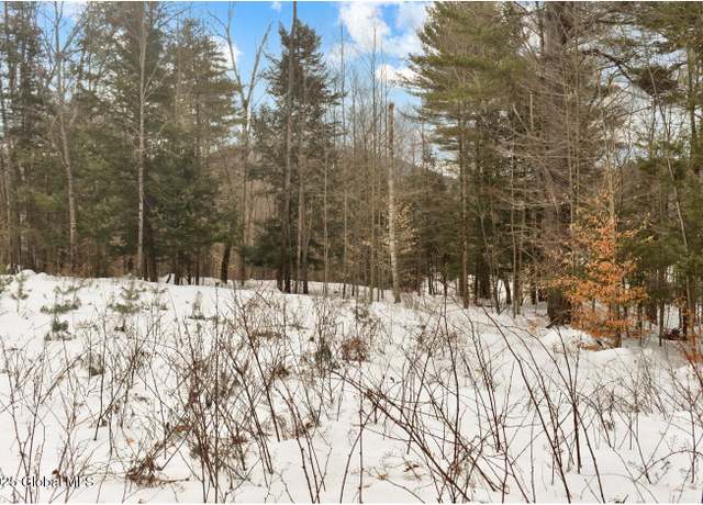 Property at 18 Highview Ln Lot 1, Wevertown, NY 12886