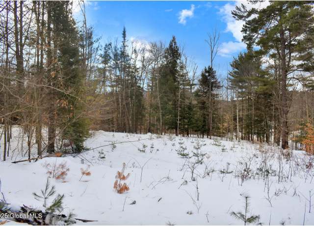 Property at L86 Highview Ln Lot 2, Wevertown, NY 12886
