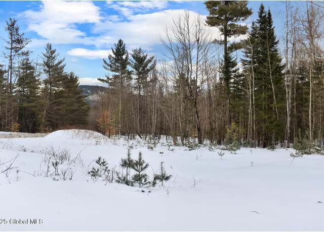 Property at L88 Highview Ln Lot 4, Wevertown, NY 12886