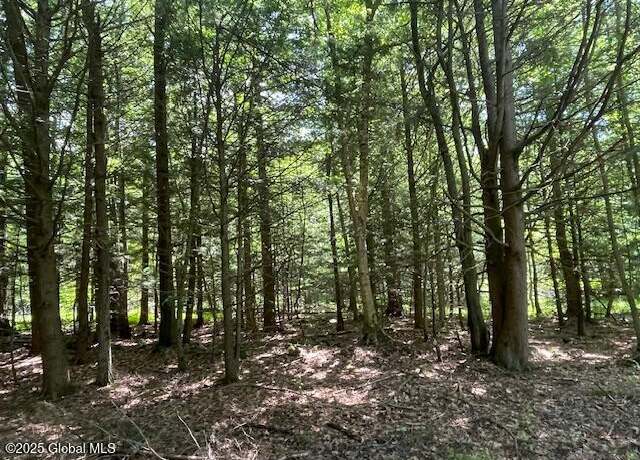 Property at 204 Bauer Rd, Averill Park, NY 12018