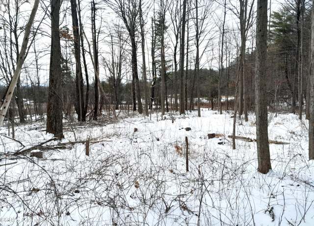 Property at L44 Roberts Hill Rd, West Coxsackie, NY 12192
