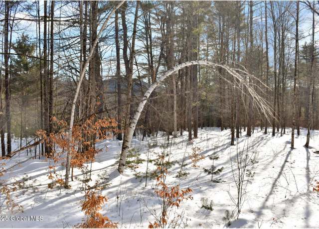 Property at L92 Highview Ln Lot 8, Wevertown, NY 12886