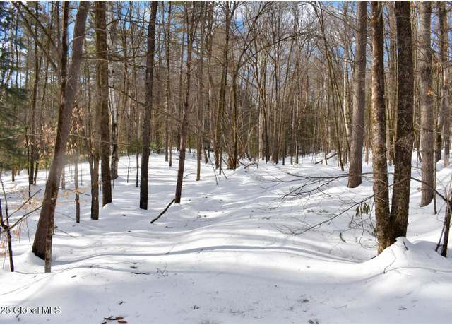 Property at L93 Highview Ln Lot 9, Wevertown, NY 12886