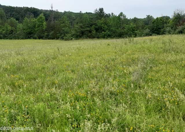Property at L45 Roberts Hill Rd, West Coxsackie, NY 12192