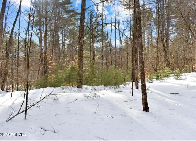 Property at L94 Highview Ln Lot 10, Wevertown, NY 12886